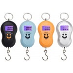 Portable Hanging Digital Weight Scale 45kg